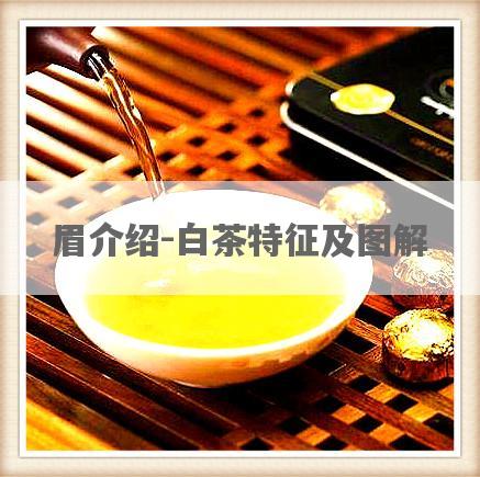 眉介绍-白茶特征及图解