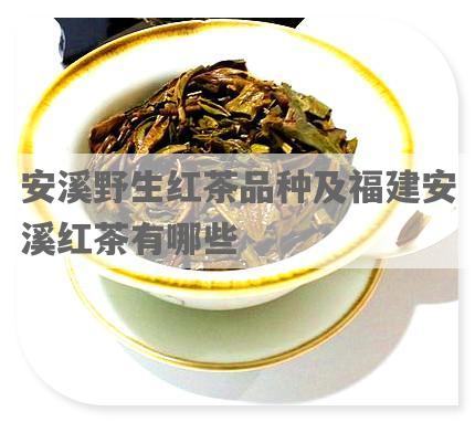 安溪野生红茶品种及福建安溪红茶有哪些