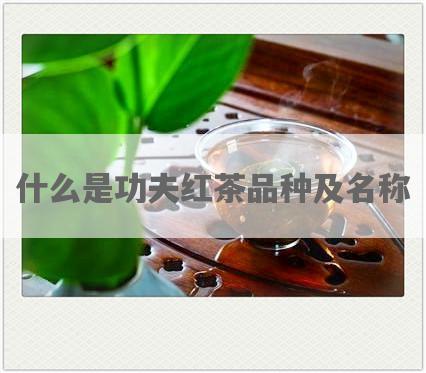 什么是功夫红茶品种及名称
