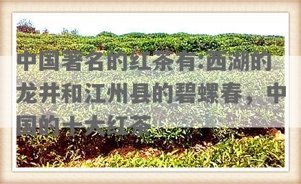 中国著名的红茶有:西湖的龙井和江州县的碧螺春，中国的十大红茶