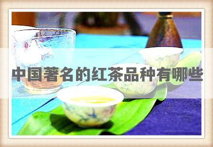中国著名的红茶品种有哪些