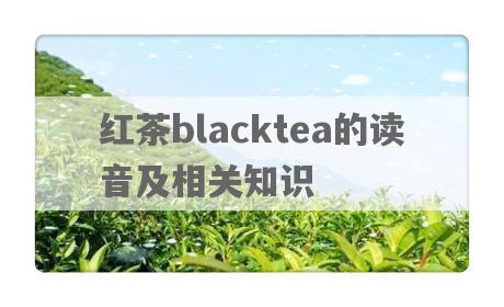 红茶blacktea的读音及相关知识
