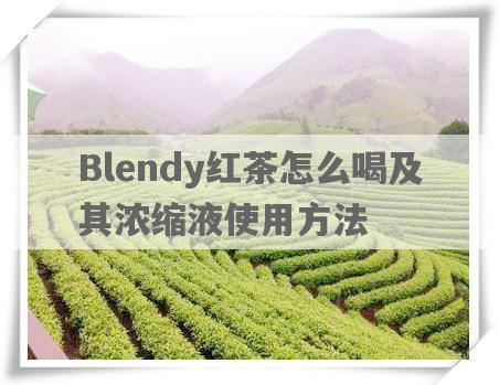 Blendy红茶怎么喝及其浓缩液使用 *** 