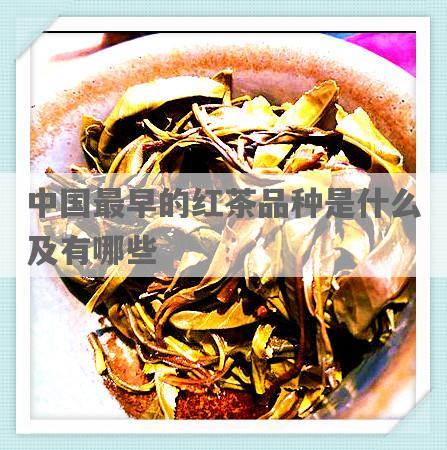 中国最早的红茶品种是什么及有哪些