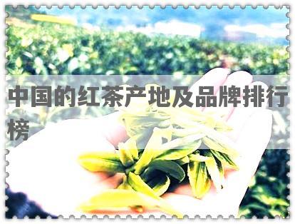 中国的红茶产地及品牌排行榜