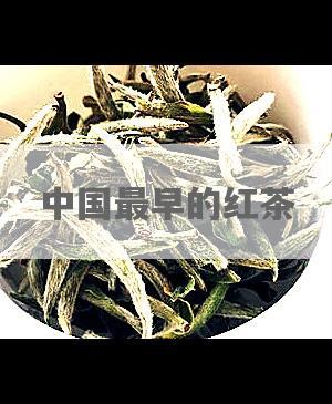 中国最早的红茶