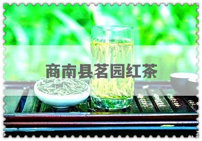 商南县茗园红茶