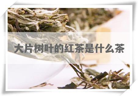 大片树叶的红茶是什么茶
