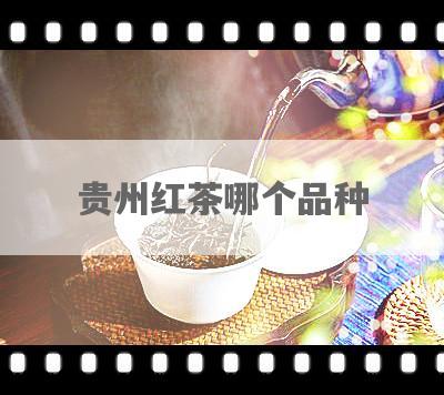 贵州红茶哪个品种