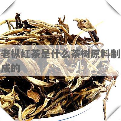 老枞红茶是什么茶树原料制成的