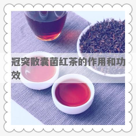 冠突散囊菌红茶的作用和功效