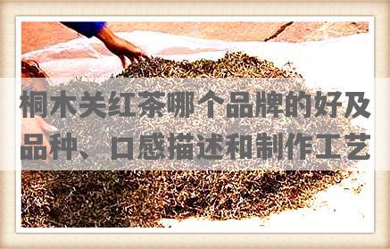 桐木关红茶哪个品牌的好及品种、口感描述和制作工艺
