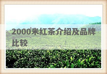 2000米红茶介绍及品牌比较