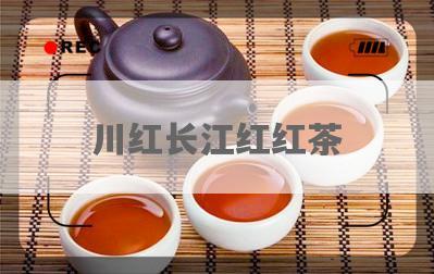 川红长江红红茶