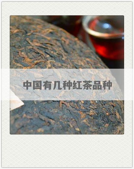 中国有几种红茶品种