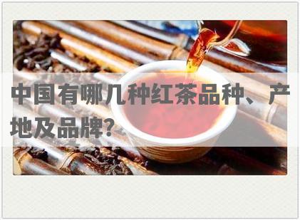 中国有哪几种红茶品种、产地及品牌？