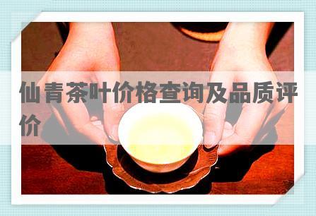 仙青茶叶价格查询及品质评价