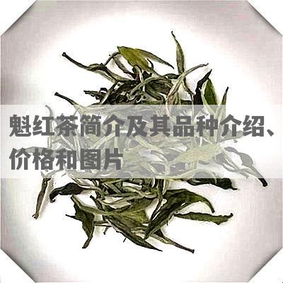 魁红茶简介及其品种介绍、价格和图片