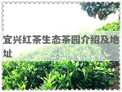 宜兴红茶生态茶园介绍及地址