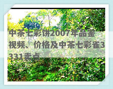 中茶七彩饼2007年品鉴视频、价格及中茶七彩雀3331卖点