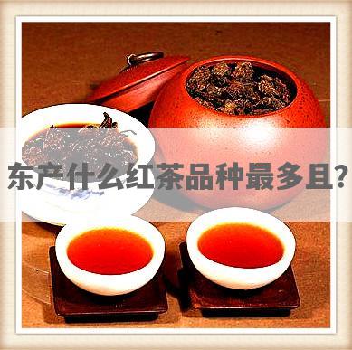 东产什么红茶品种最多且？