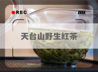 天台山野生红茶