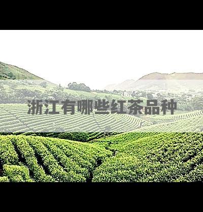 浙江有哪些红茶品种