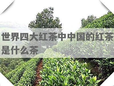 世界四大红茶中中国的红茶是什么茶