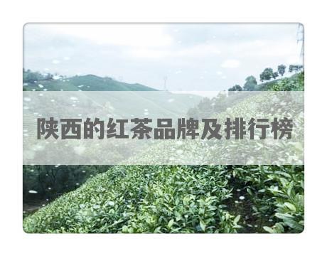陕西的红茶品牌及排行榜