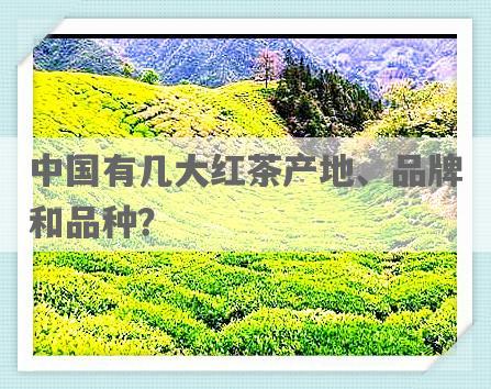中国有几大红茶产地、品牌和品种？