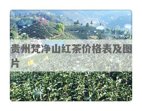 贵州梵净山红茶价格表及图片