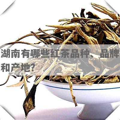湖南有哪些红茶品种、品牌和产地？