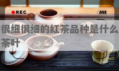 很细很细的红茶品种是什么茶叶