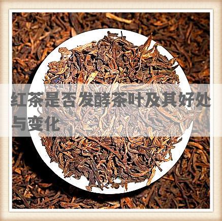红茶是否发酵茶叶及其好处与变化