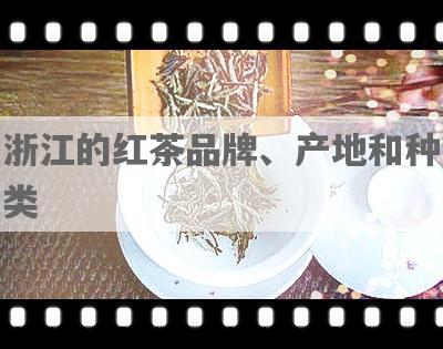 浙江的红茶品牌、产地和种类