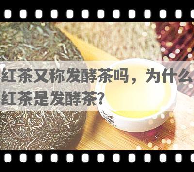 红茶又称发酵茶吗，为什么红茶是发酵茶？