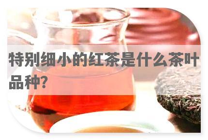 特别细小的红茶是什么茶叶品种？