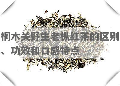 桐木关野生老枞红茶的区别、功效和口感特点
