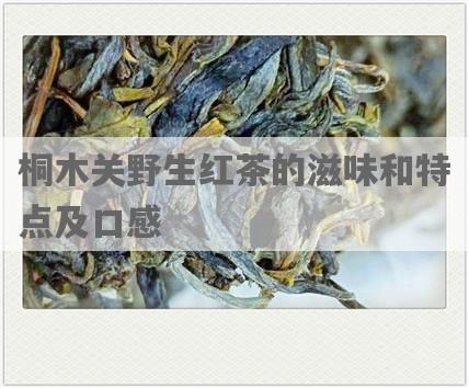 桐木关野生红茶的滋味和特点及口感