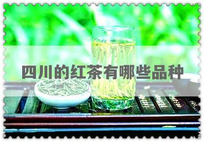 四川的红茶有哪些品种