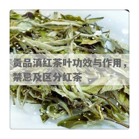 贡品滇红茶叶功效与作用，禁忌及区分红茶