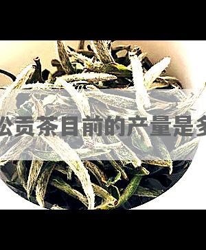 曼松贡茶目前的产量是多少