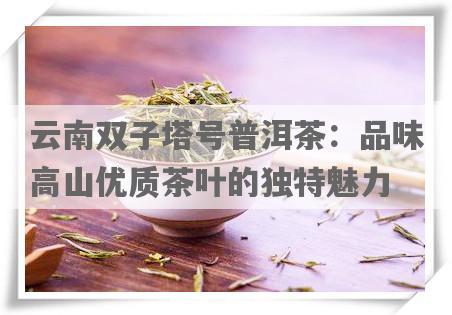 云南双子塔号普洱茶：品味高山优质茶叶的独特魅力