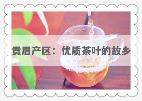 贡眉产区：优质茶叶的故乡