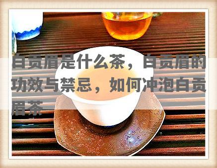 白贡眉是什么茶，白贡眉的功效与禁忌，如何冲泡白贡眉茶