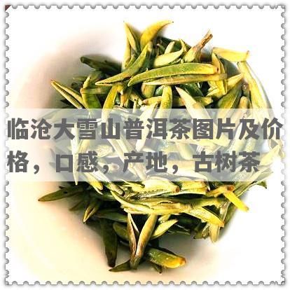 临沧大雪山普洱茶图片及价格，口感，产地，古树茶