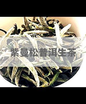 紫曼松普洱生茶