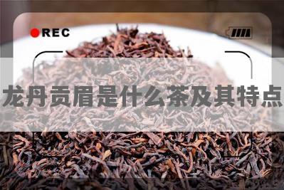 龙丹贡眉是什么茶及其特点