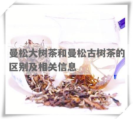 曼松大树茶和曼松古树茶的区别及相关信息