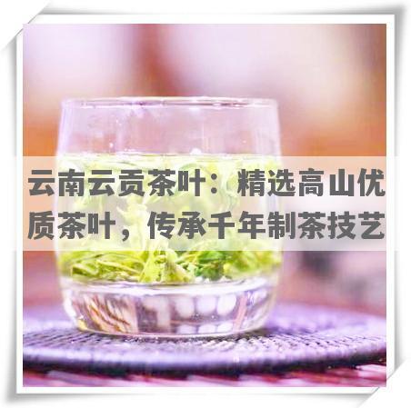 云南云贡茶叶：精选高山优质茶叶，传承千年制茶技艺